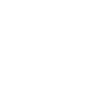 לוגו פז פיננסים לבן